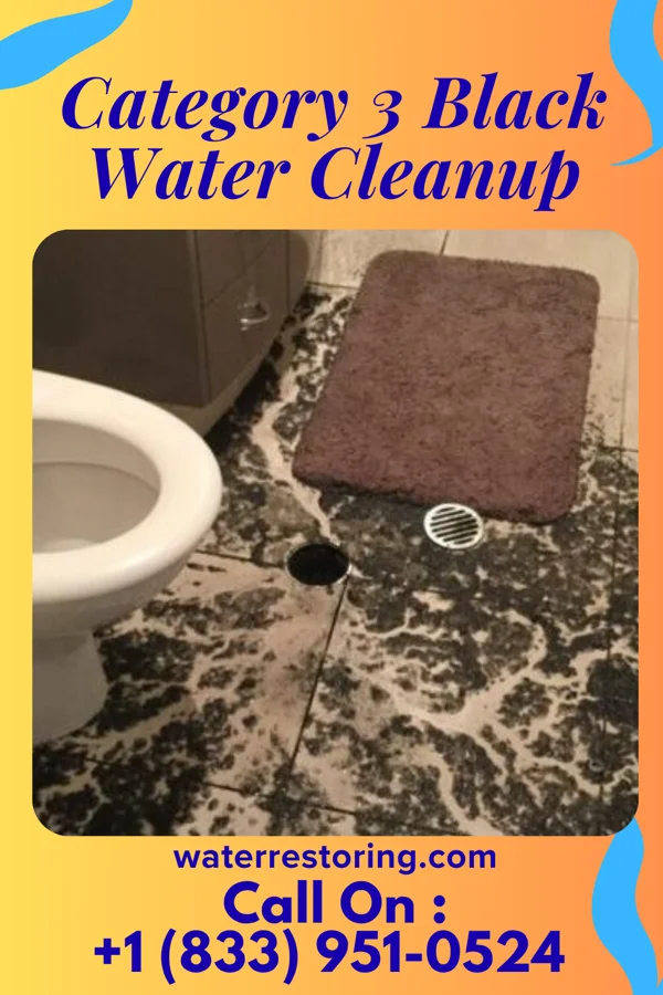 Category 3 Black Water Cleanup in Elmore City, OK